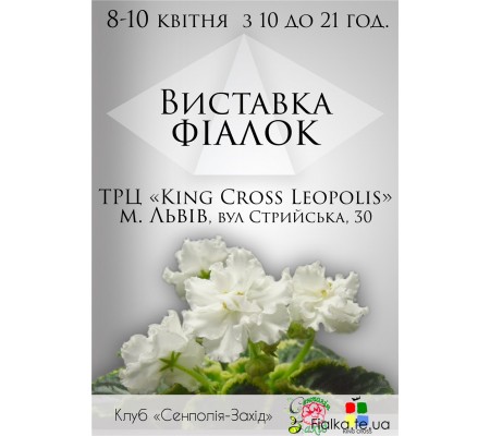 Выставка фиалок в Львове с 8 по 10 апреля 2016